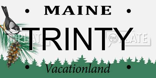 TRINTY Maine License Plate