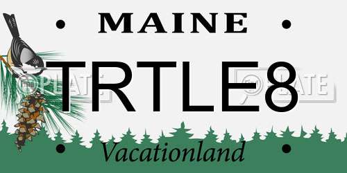 TRTLE8 Maine License Plate