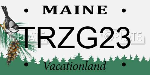 TRZG23 Maine License Plate