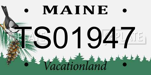 TS01947 Maine License Plate