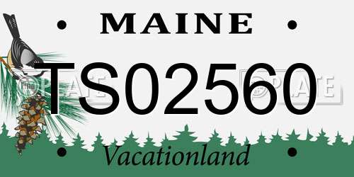 TS02560 Maine License Plate