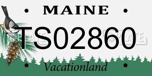 TS02860 Maine License Plate