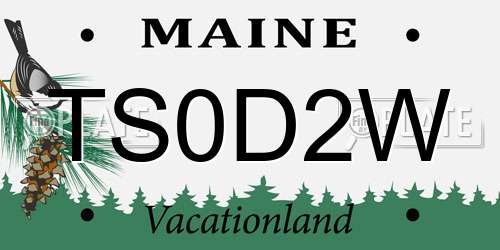 TS0D2W Maine License Plate
