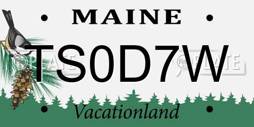 TS0D7W Maine License Plate