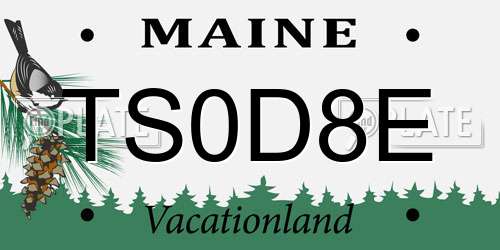 TS0D8E Maine License Plate