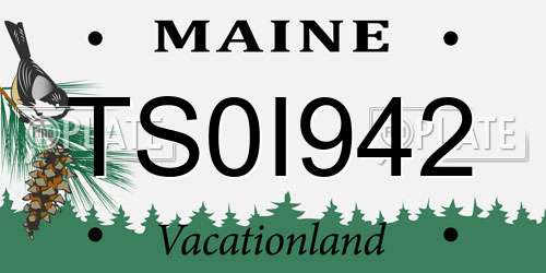 TS0I942 Maine License Plate