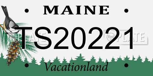 TS20221 Maine License Plate