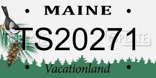 TS20271 Maine License Plate