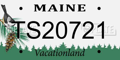 TS20721 Maine License Plate
