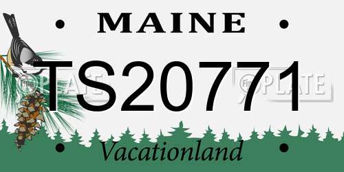 TS20771 Maine License Plate