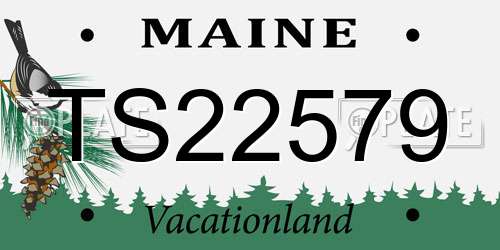TS22579 Maine License Plate