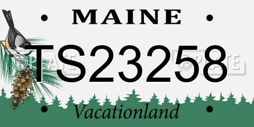 TS23258 Maine License Plate