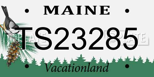 TS23285 Maine License Plate