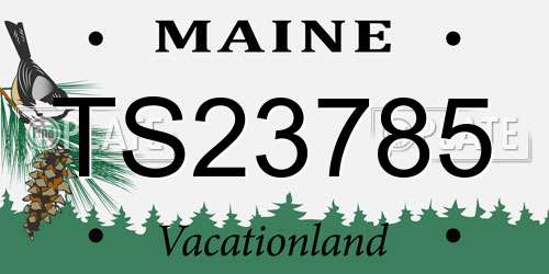 TS23785 Maine License Plate