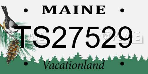 TS27529 Maine License Plate