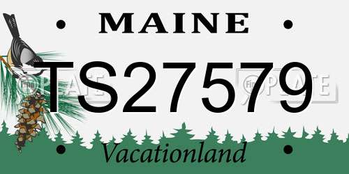 TS27579 Maine License Plate