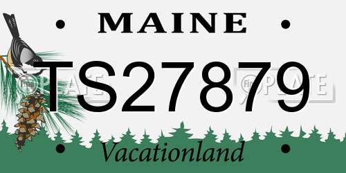 TS27879 Maine License Plate