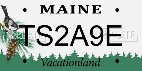 TS2A9E Maine License Plate