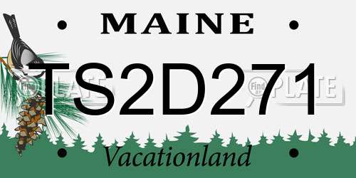 TS2D271 Maine License Plate
