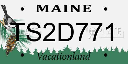 TS2D771 Maine License Plate