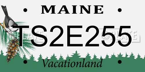 TS2E255 Maine License Plate