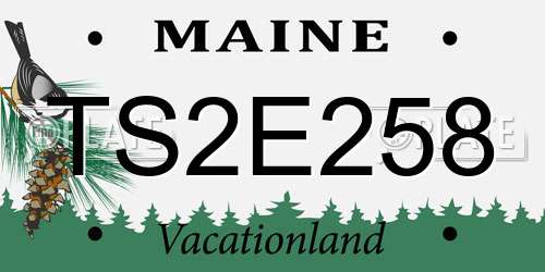 TS2E258 Maine License Plate