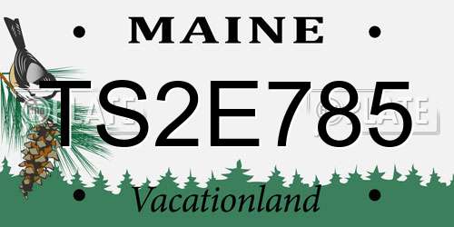 TS2E785 Maine License Plate