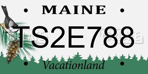 TS2E788 Maine License Plate