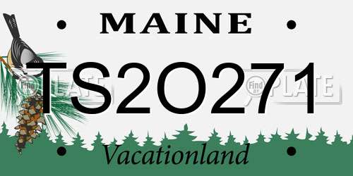 TS2O271 Maine License Plate