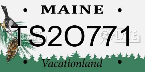 TS2O771 Maine License Plate