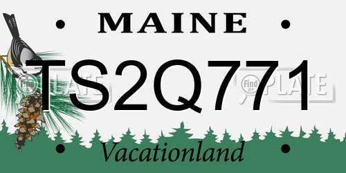 TS2Q771 Maine License Plate