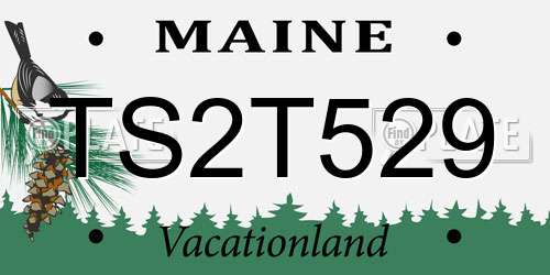 TS2T529 Maine License Plate