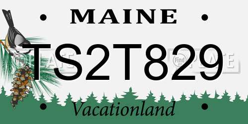 TS2T829 Maine License Plate