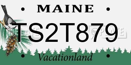 TS2T879 Maine License Plate