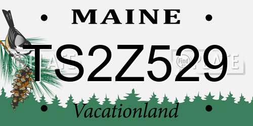 TS2Z529 Maine License Plate
