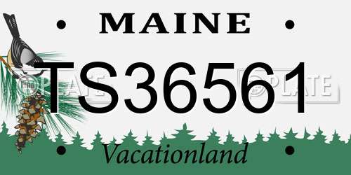 TS36561 Maine License Plate