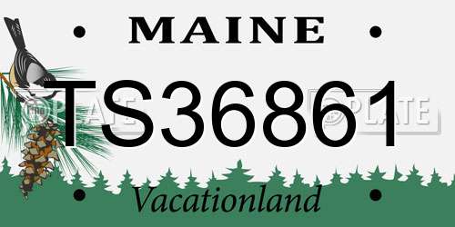 TS36861 Maine License Plate