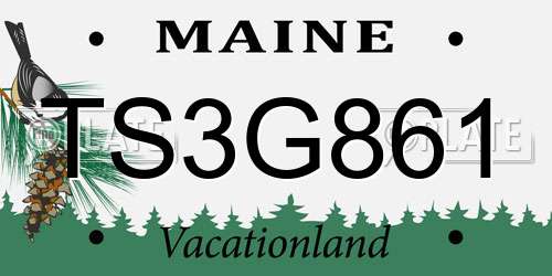 TS3G861 Maine License Plate