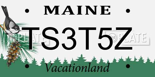 TS3T5Z Maine License Plate