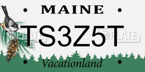 TS3Z5T Maine License Plate