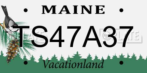 TS47A37 Maine License Plate