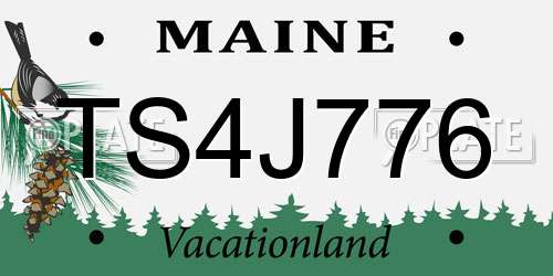 TS4J776 Maine License Plate