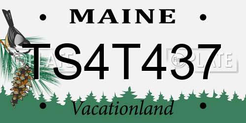 TS4T437 Maine License Plate