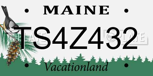 TS4Z432 Maine License Plate