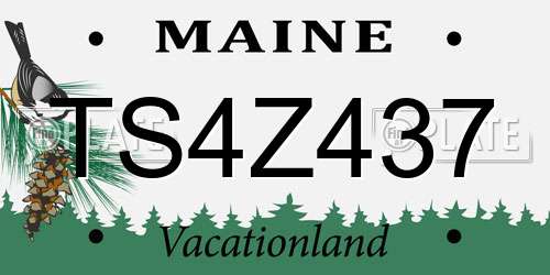 TS4Z437 Maine License Plate