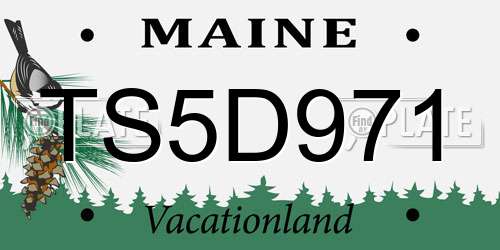 TS5D971 Maine License Plate