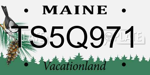 TS5Q971 Maine License Plate