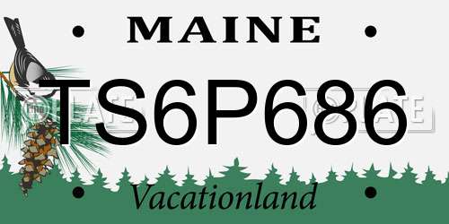 TS6P686 Maine License Plate