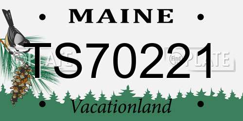 TS70221 Maine License Plate