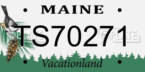 TS70271 Maine License Plate
